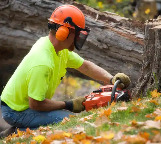 tree services Crestview Hills